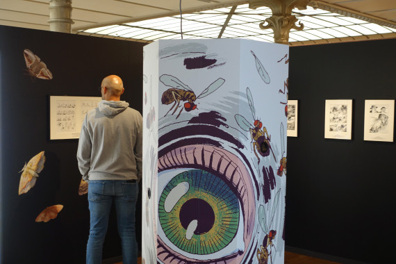 La nature de Wauter Mannaert - © Daniel Fouss / Musée de la BD test