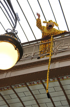 Chasse aux œufs Marsupilami
