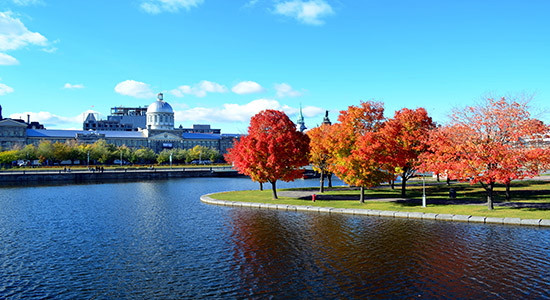 Résidences littéraires au Québec 2026. -  test